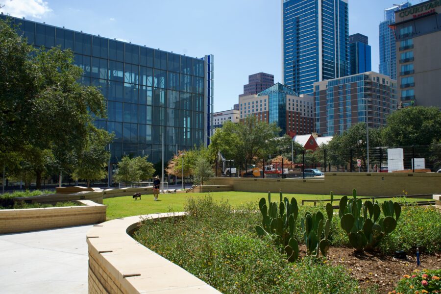brush square greenery with dog walking on the green grass with skyline in the background